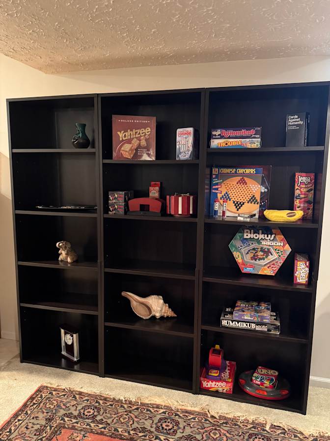 WFH professional's room