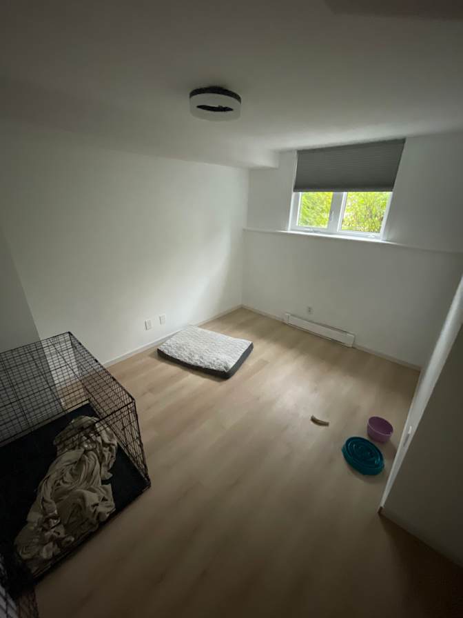 David Laporte's room