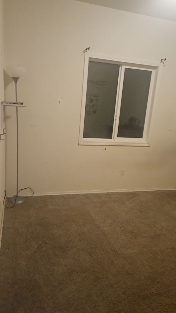 Mary's room