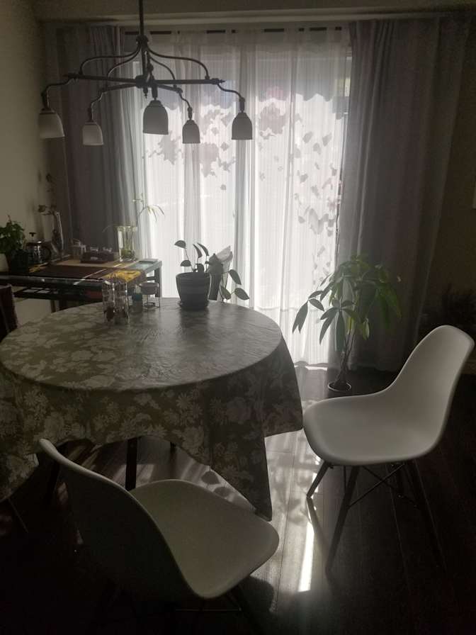 Yan's room