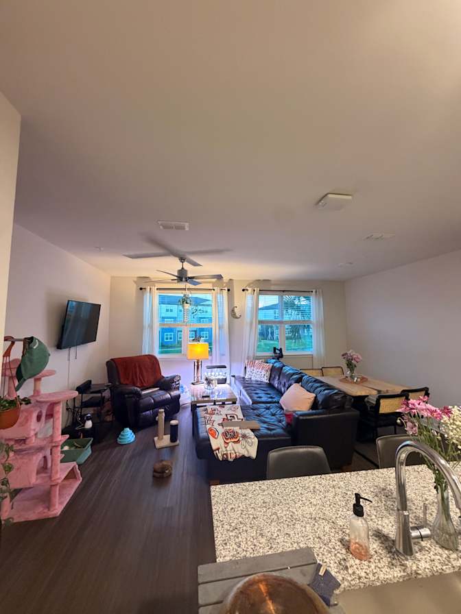 Alaina's room