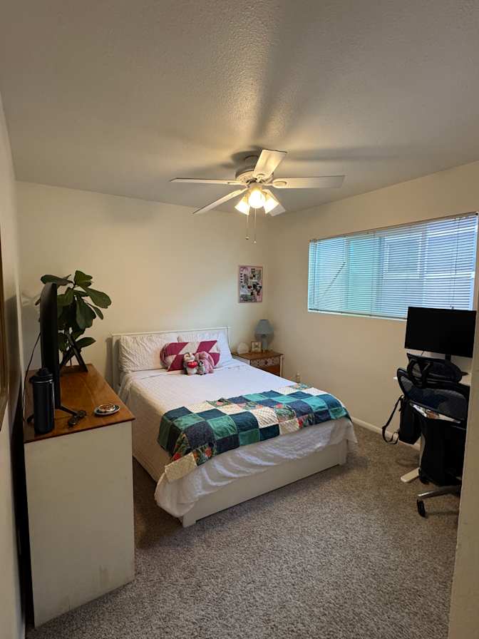 Cami's room