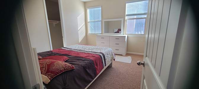 Mike and ZMG's room