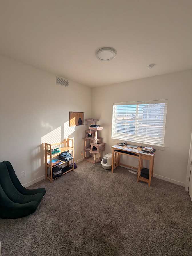 Dev's room