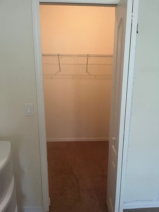 Ziggy's room