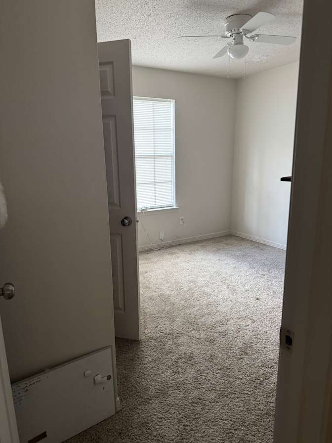 Aymee's room