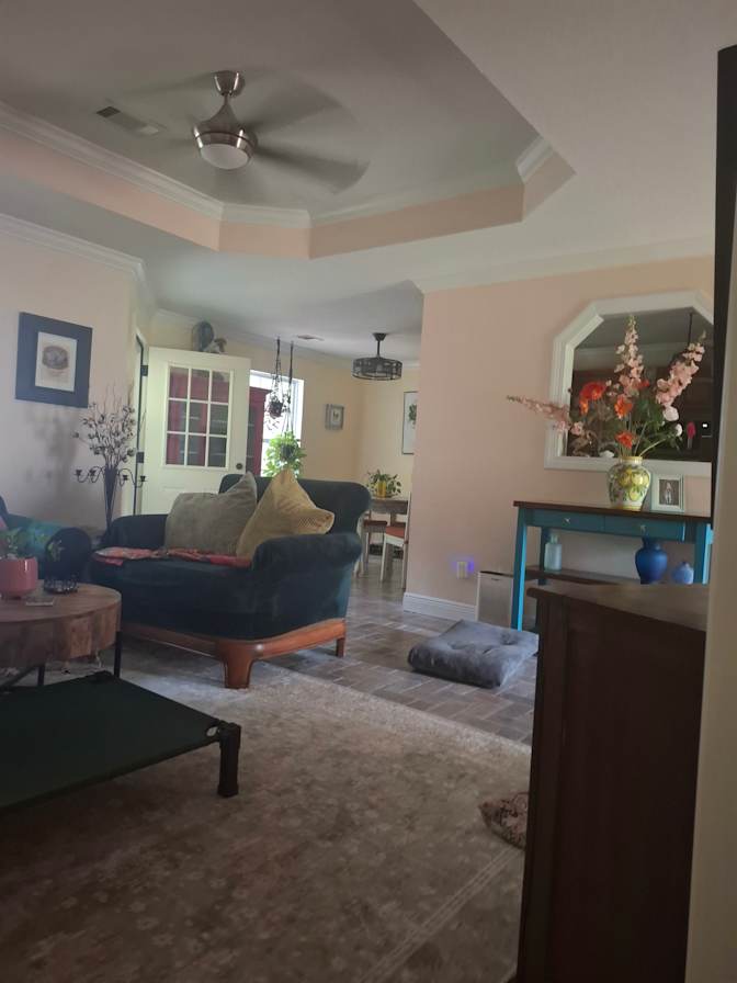 Pamela's room