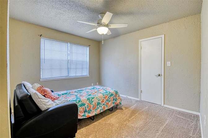 Alon's room