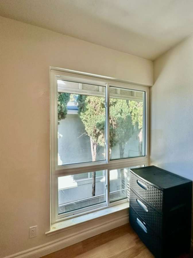 Buddy's room