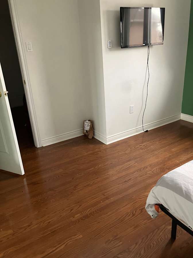 luigi's room