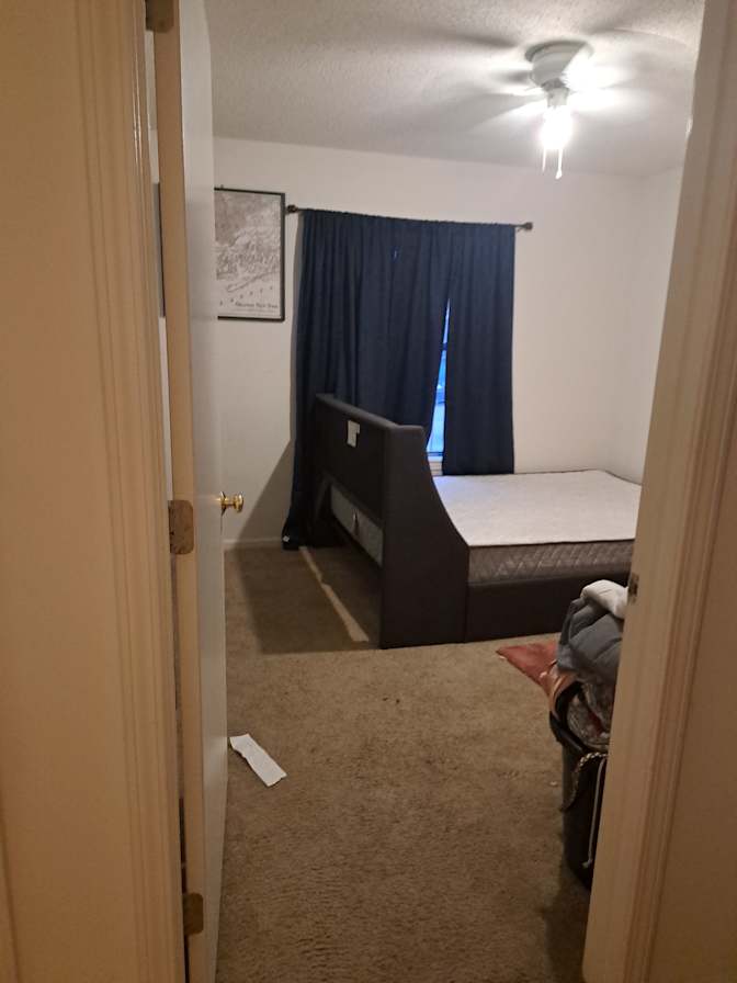 Deborah Negroni's room