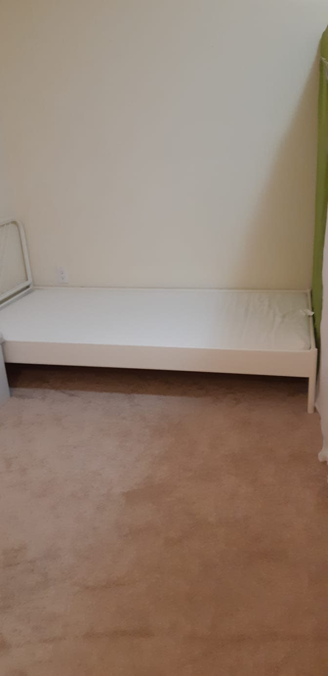 Shaheen's room