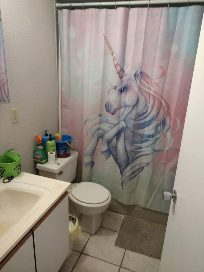Shawn's room
