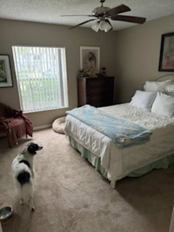 eve's room