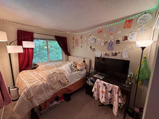 Noah's room