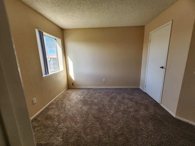 Mary's room