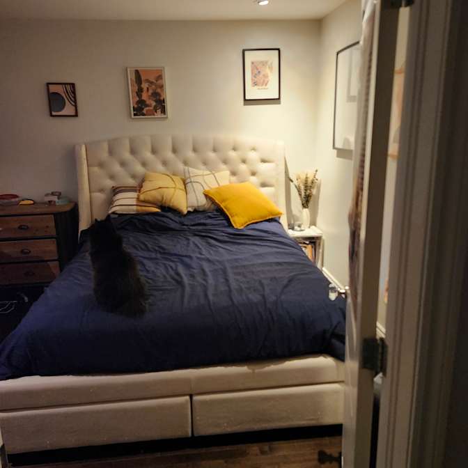Olga's room