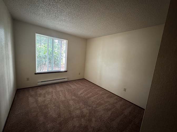 Rose's room