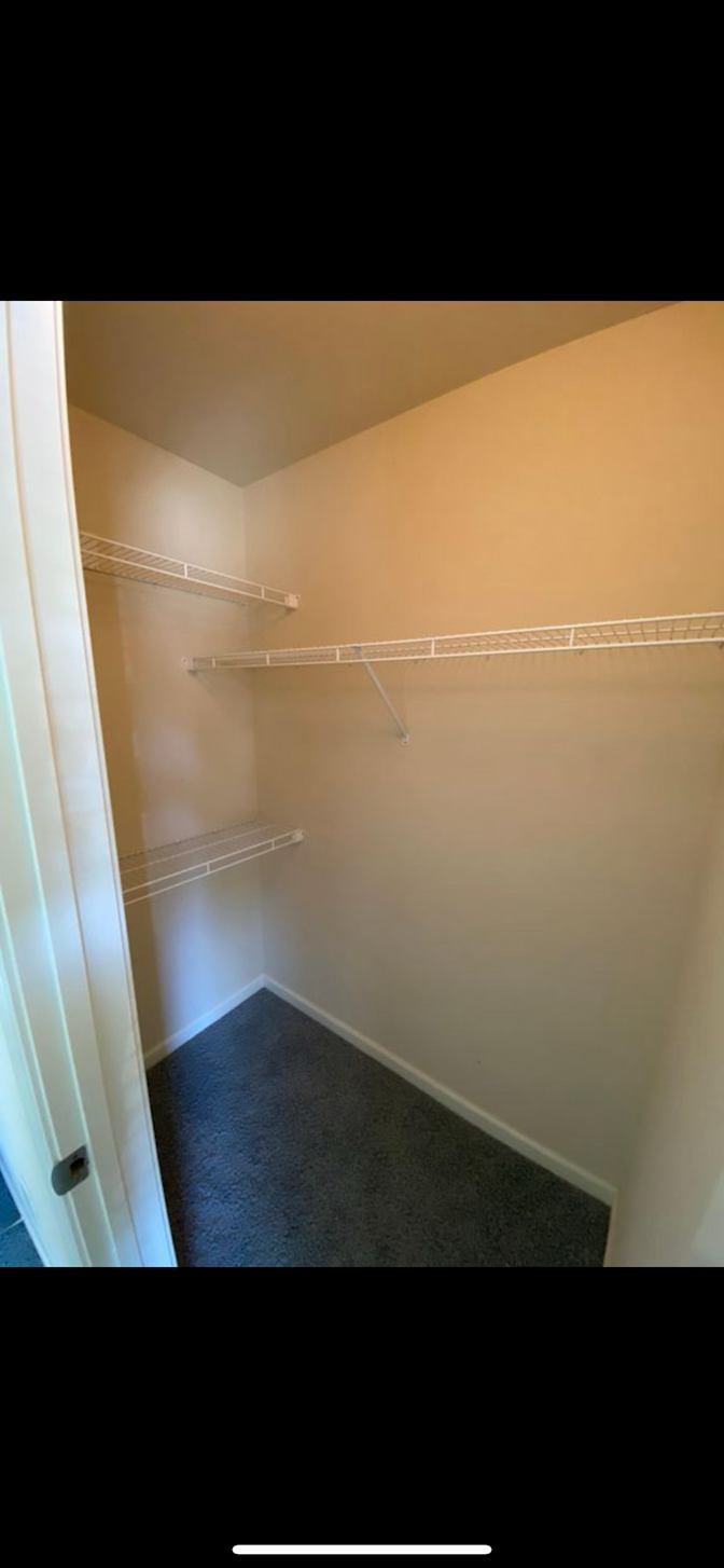Michelle's room