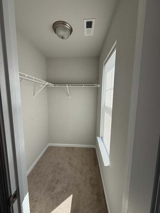 Aallisha's room
