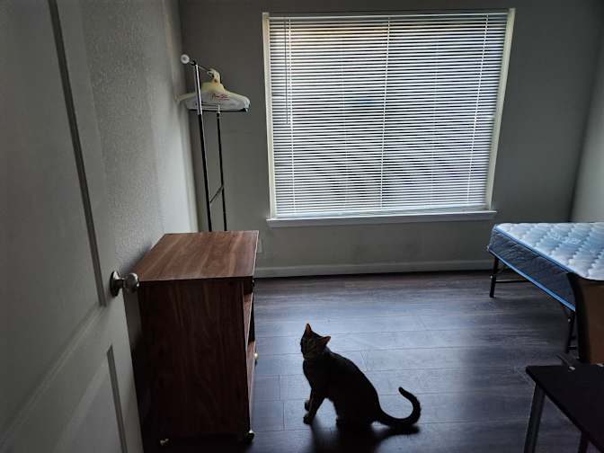 Matt's room