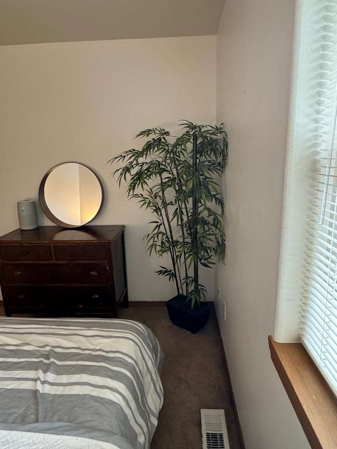 Amanda's room