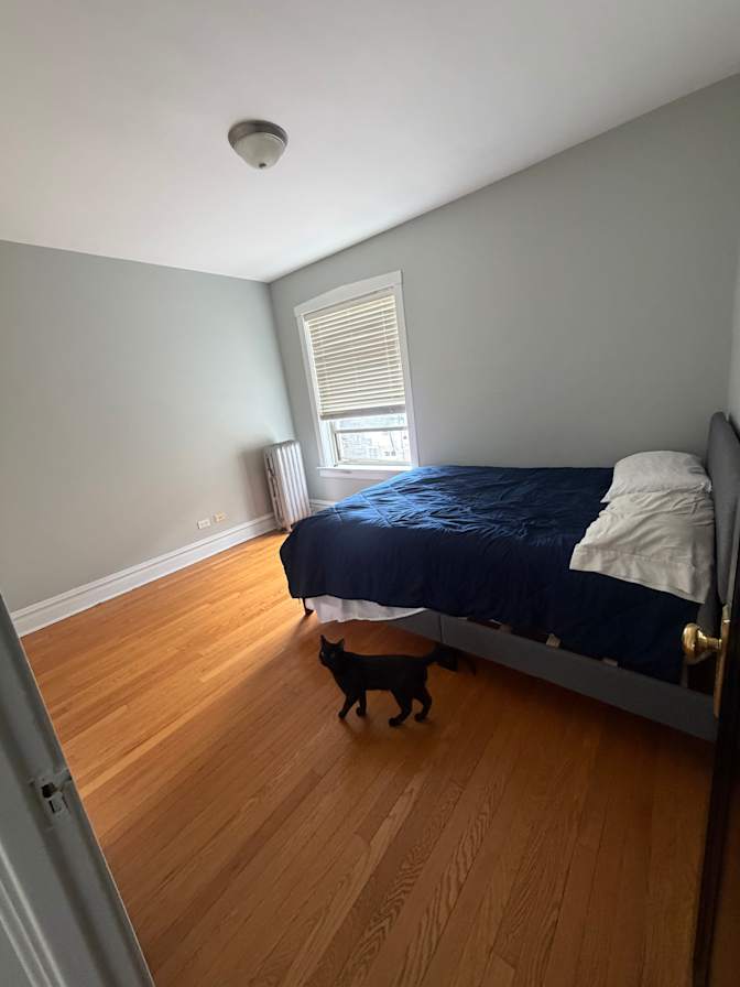 Mia's room