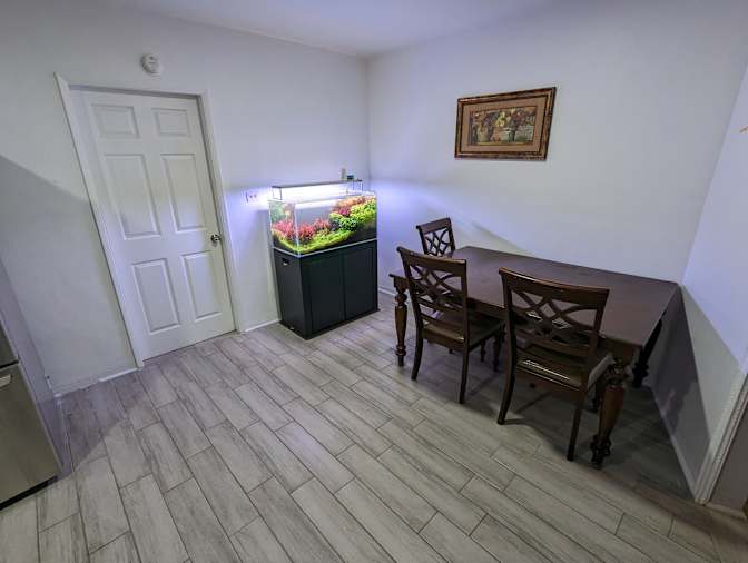 Javier's room