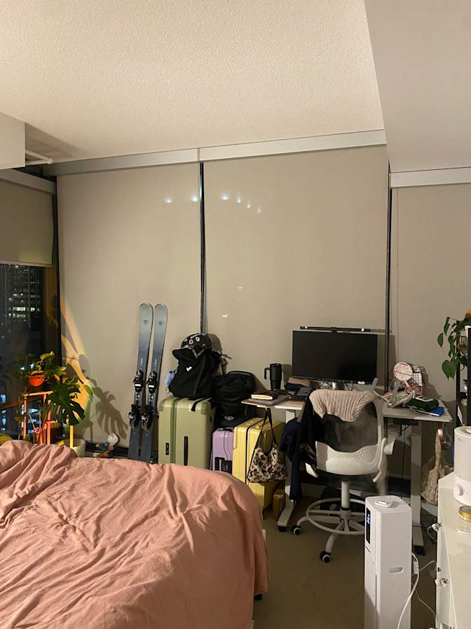 Lauren Higgins's room