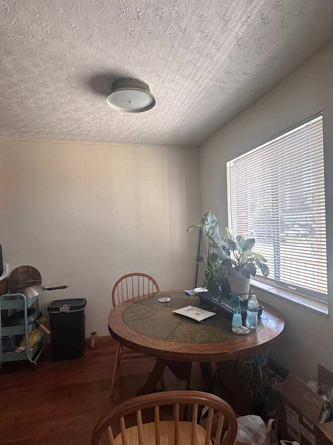 Lily's room
