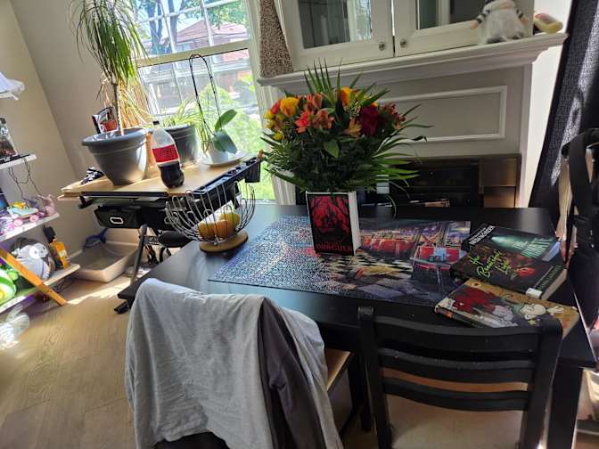 Rachel Dinar's room