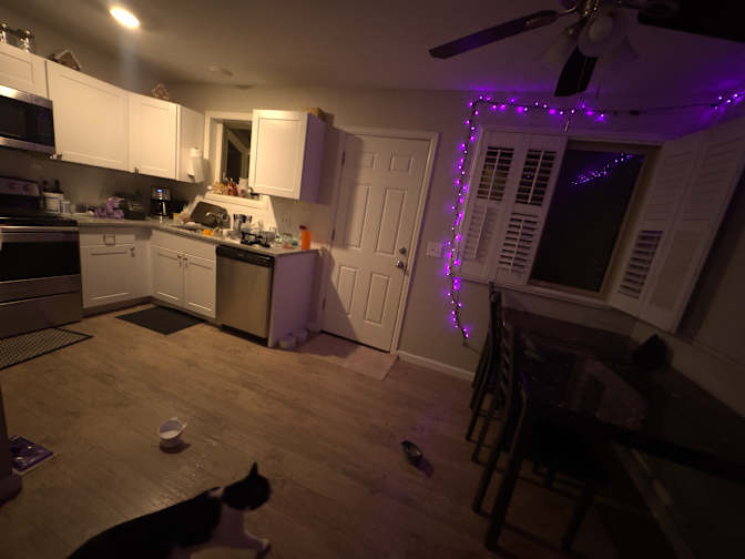 Shannon's room