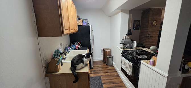 Maya's room
