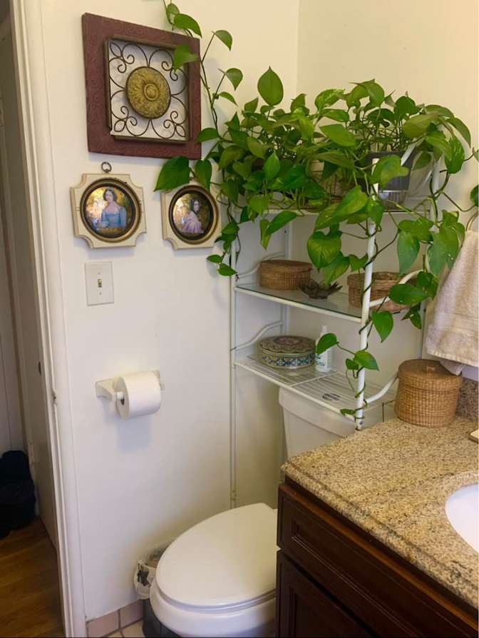 Lucie D's room