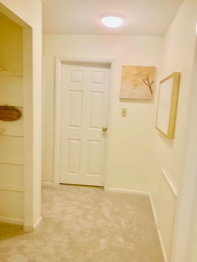 Vibha's room