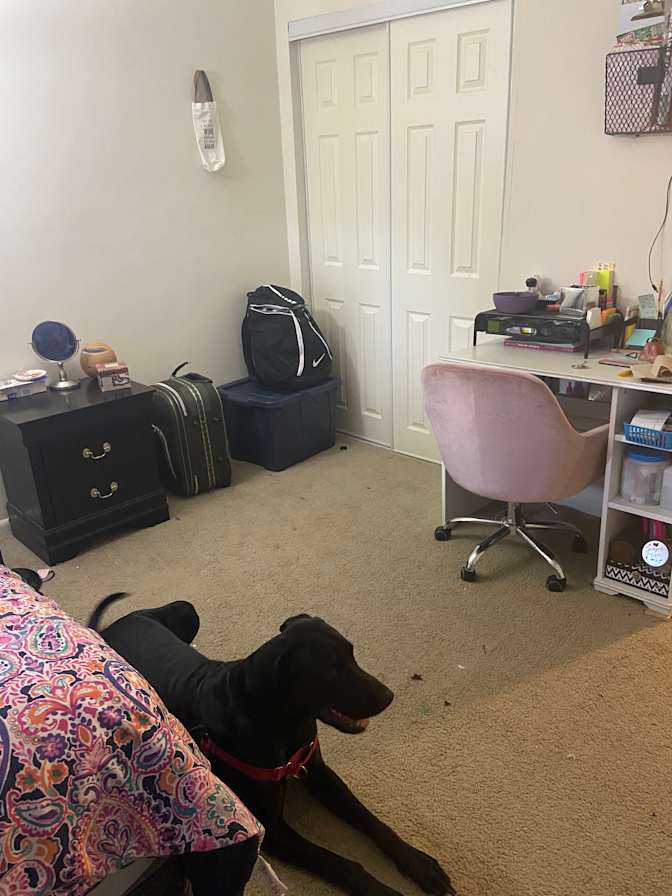 Nyah's room