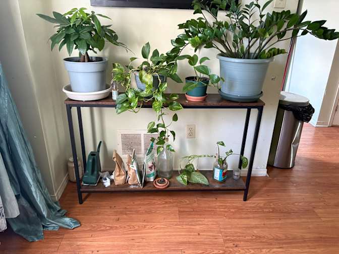 MpressDaz's room