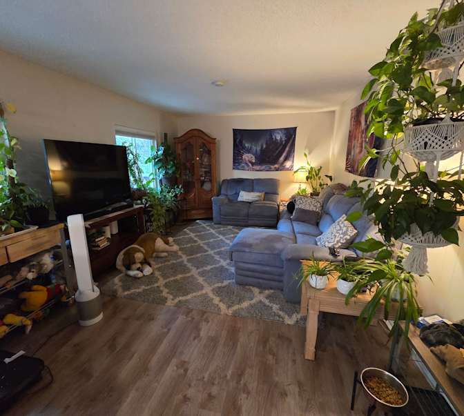 Ginger's room