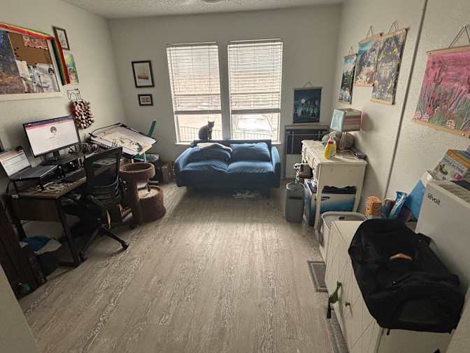 Madison's room