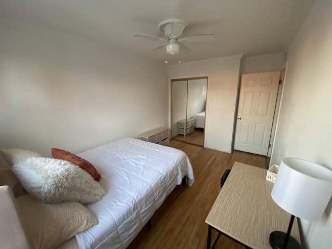 Haelly's room