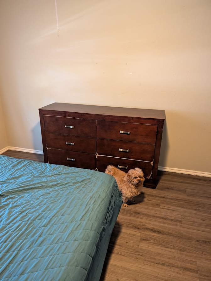 Jordan's room