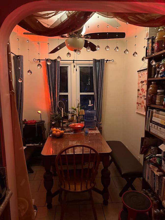 spider davila's room