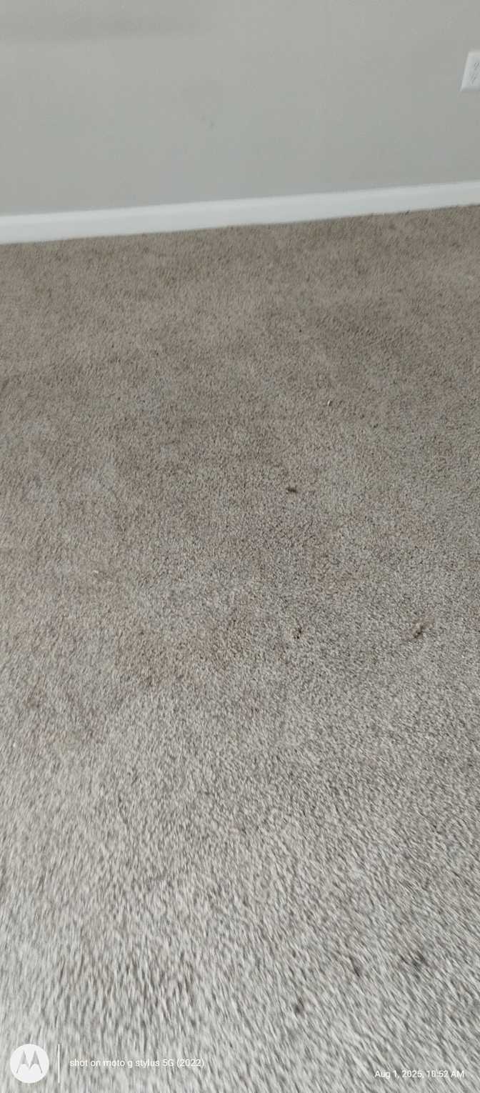 Prince's room