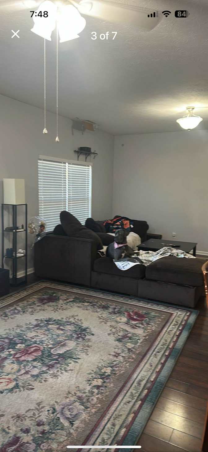 Mark Bisciotti's room