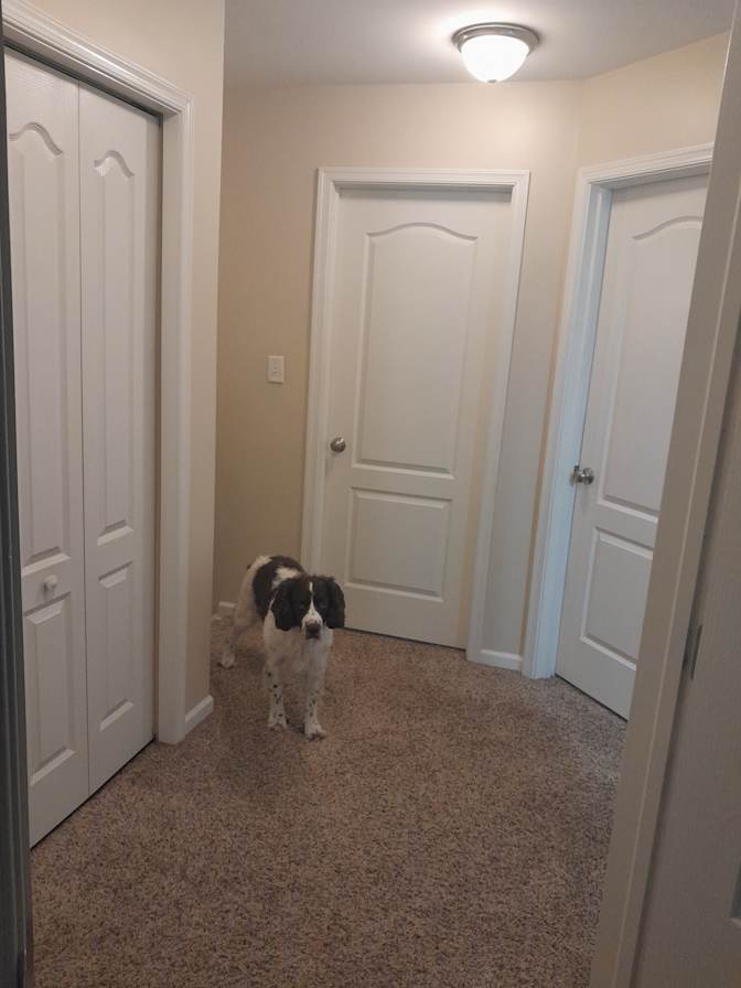 Joseph's room