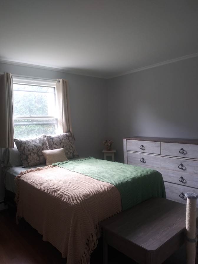 Fern's room