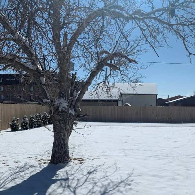 Tavish Towner's room