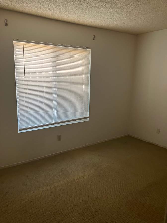 Room available's room