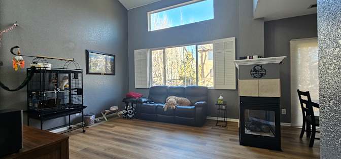 Dylan's room