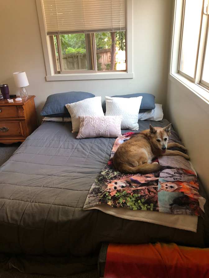 Jacquelyn's room